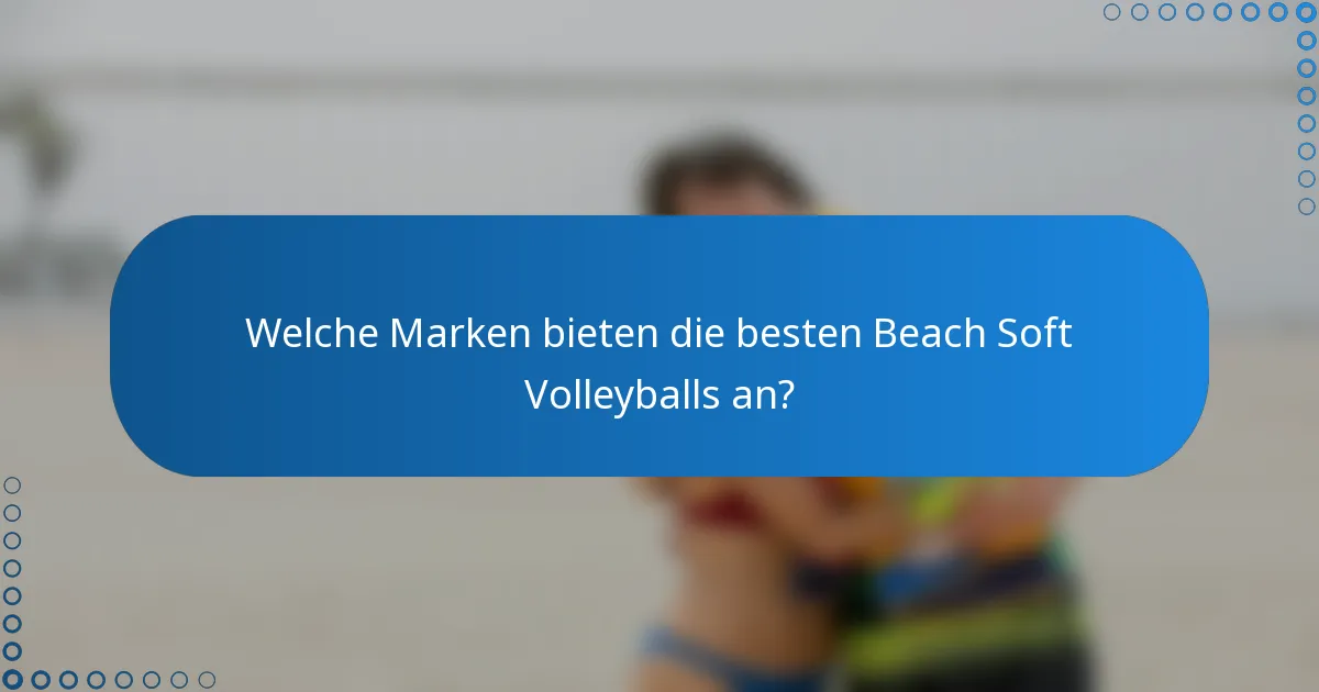 Welche Marken bieten die besten Beach Soft Volleyballs an?