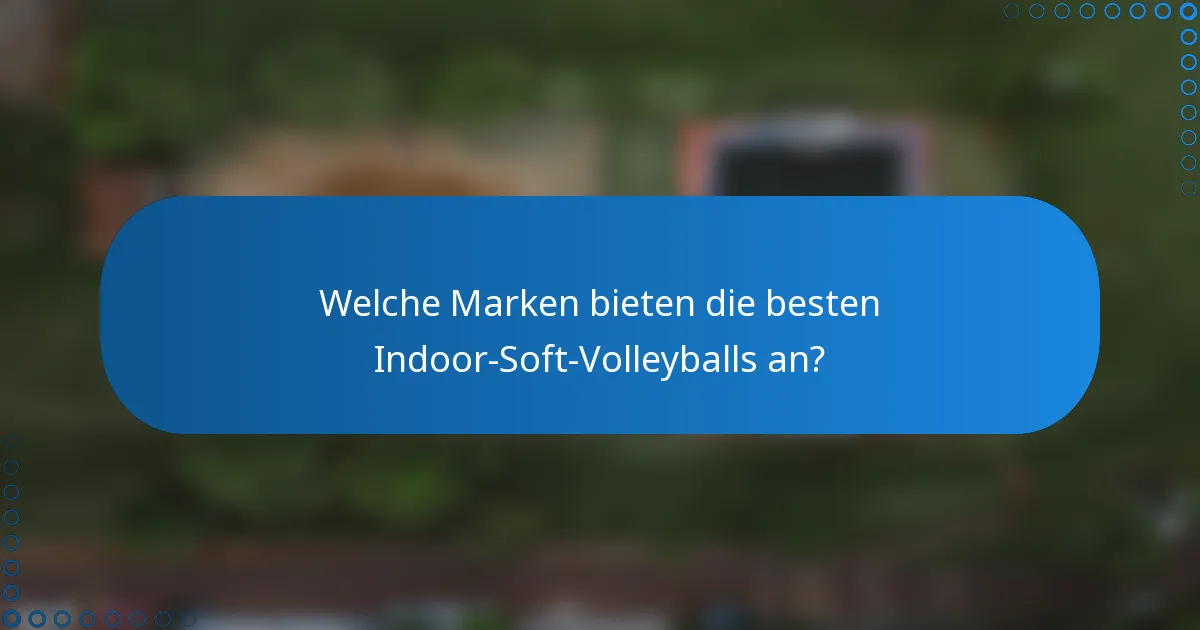 Welche Marken bieten die besten Indoor-Soft-Volleyballs an?