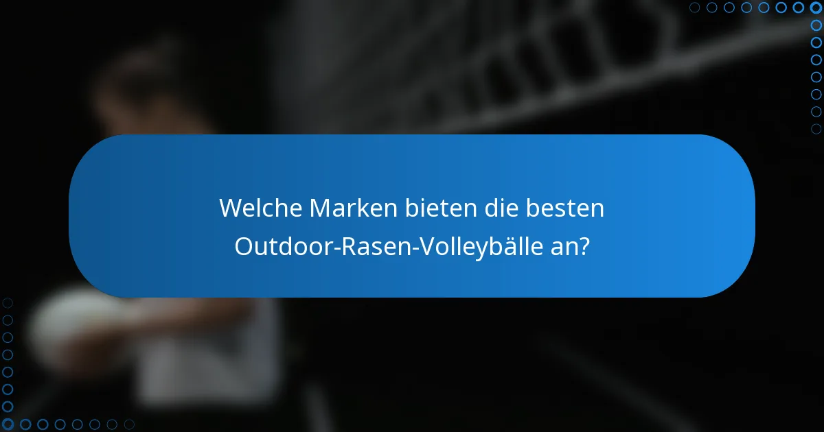 Welche Marken bieten die besten Outdoor-Rasen-Volleybälle an?