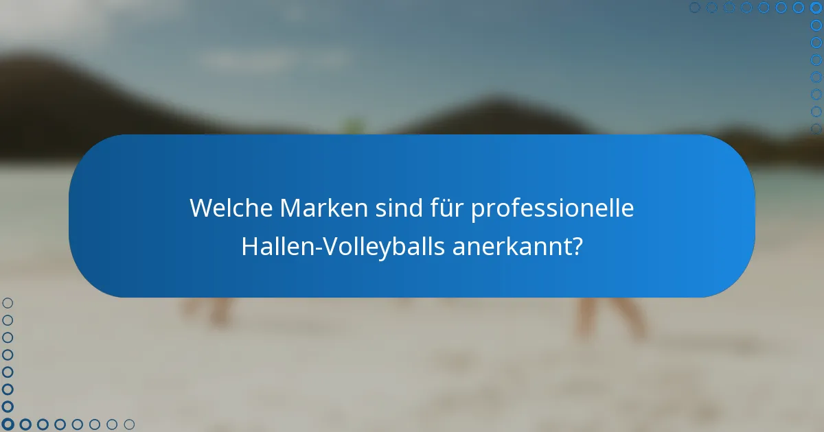 Welche Marken sind für professionelle Hallen-Volleyballs anerkannt?